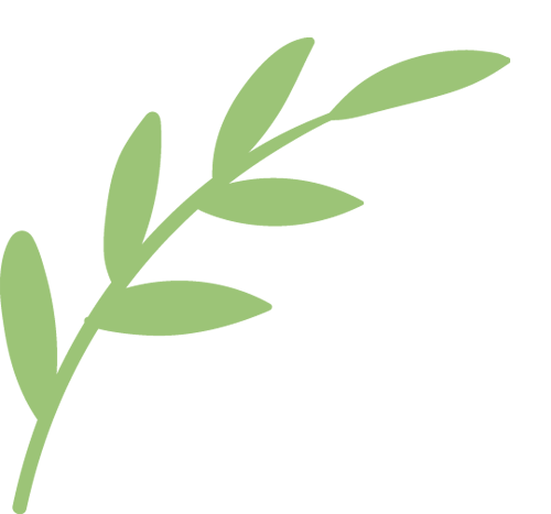 春日限定！“牡丹探花使”邀你共赴云端牡丹之约 别错过！双主播直播带你领略牡丹“真国色”