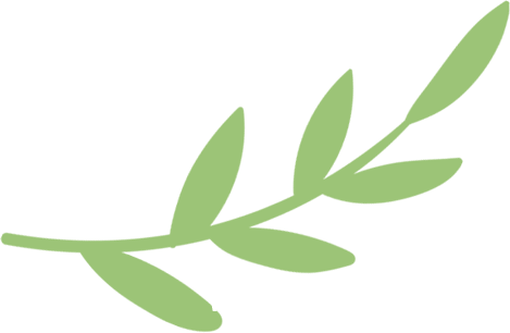 春日限定！“牡丹探花使”邀你共赴云端牡丹之约 别错过！双主播直播带你领略牡丹“真国色”