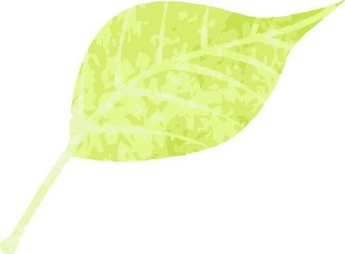 春日限定！“牡丹探花使”邀你共赴云端牡丹之约 别错过！双主播直播带你领略牡丹“真国色”