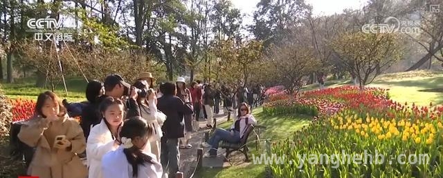 免签政策助力，中国入境旅游市场火热开局
