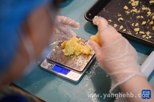 在特殊实训基地，心智障碍学生的“慢幸福”之旅