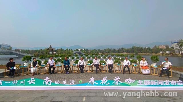 2. 2025云南春季文旅发布会：“春花茶咖”里的诗与远方 5. “春花茶咖”点燃云南春季文旅热情，净化市场迎嘉宾！