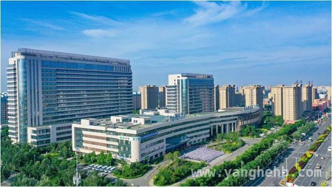 复杂肌瘤不再可怕，国文医院微创方案带来新希望，吉林国文医院妇科团队：微创奇迹拯救复杂肌瘤患者