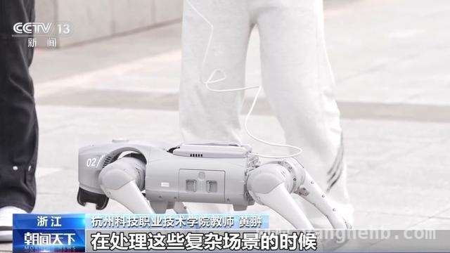 探秘机器人大脑训练师：让机器人“智”行天下，解锁机器人大脑训练师，开启人工智能新征程