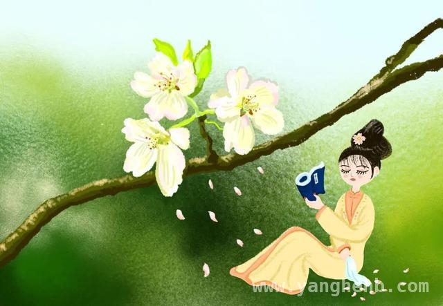 春日花卉大赏，惊艳你的眼眸，春花烂漫时，开启赏花之旅