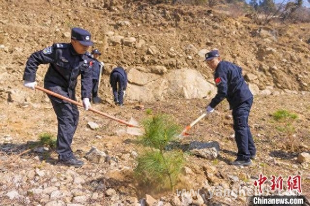 西藏亚东边检与民众共植绿树，筑牢高原生态屏障 践行两山理念，西藏亚东边检站义务植树为大地添绿