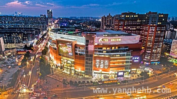 2024年大悦城地产逆势上扬，多领域展现强劲实力，2024年大悦城地产：物业开发撑起营收，商业亮点频现