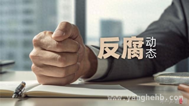 从巡视员到阶下囚，荀亚忠的堕落之路