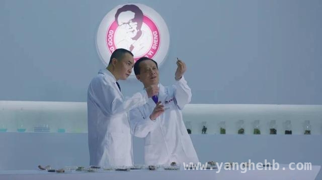 好医生药业荣膺大奖，创新驱动中医药现代化新征程
