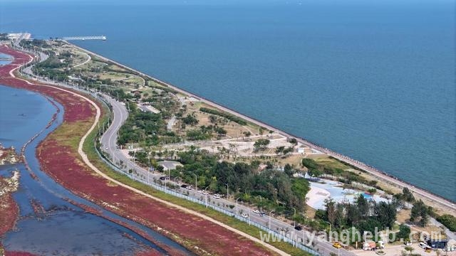 海洋文旅与花园体育齐发力，中新天津生态城焕新颜