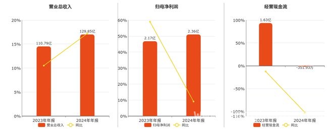 长城科技2024年年报出炉，多项财务指标有新变化，2024年长城科技年报发布，经营状况全解析