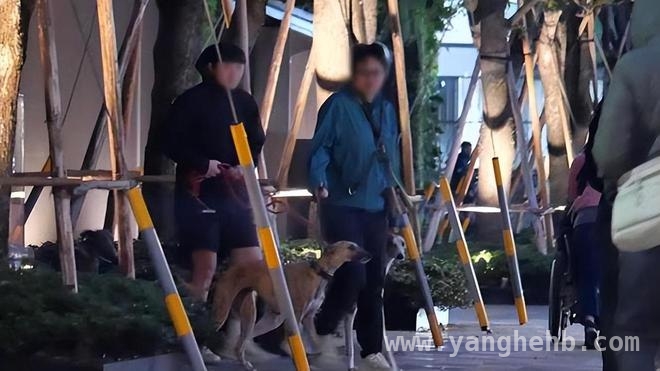 彭于晏遛狗被拍，和家人的相处太有爱啦！
