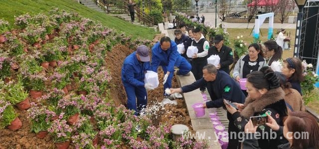 石桥铺殡仪馆第六年公益安葬，27位逝者回归自然寄哀思 重庆石桥铺殡仪馆第六届公益安葬活动，绿色殡葬新风尚