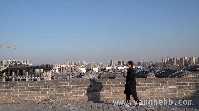00 后围棋三冠王丁浩：在胜负与生活间找寻平衡，对话丁浩：中国围棋未来领军人物的自由心声