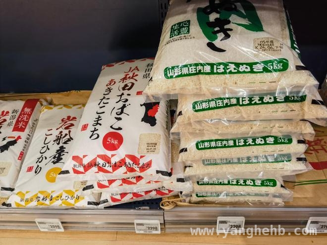 极端高温致日本米价居高不下，政府出招应对！