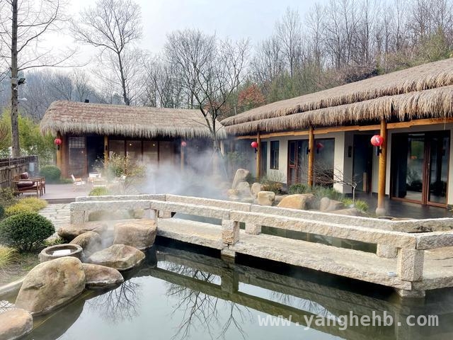 浉河“信阳小院”：以茶为媒，开启乡村旅游新征程，浉河“信阳小院”：茶旅融合激活乡村经济新活力