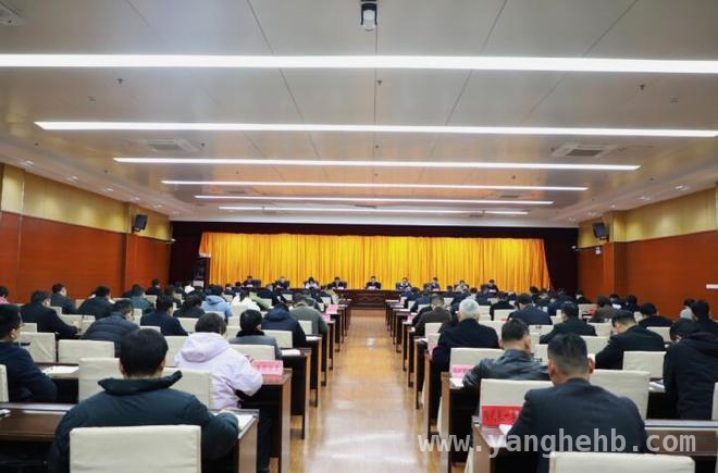 临泉党建创新模式，释放产业发展新活力