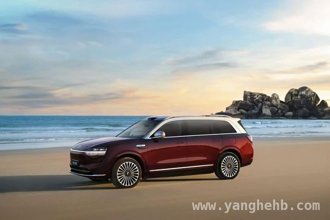 赛力斯2024年报亮眼，新能源汽车未来可期！，赛力斯年度报告揭秘：净利润大增，技术研发成果丰硕