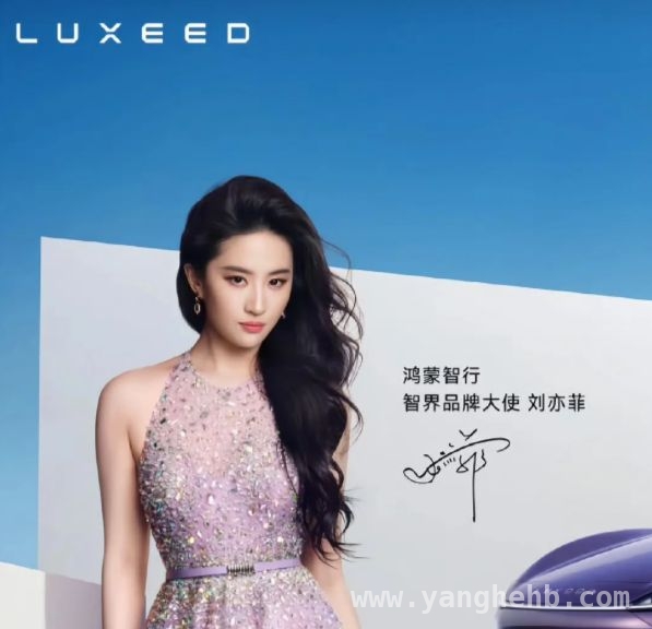 内娱女星红毯争艳，谁才是最耀眼的那颗星？