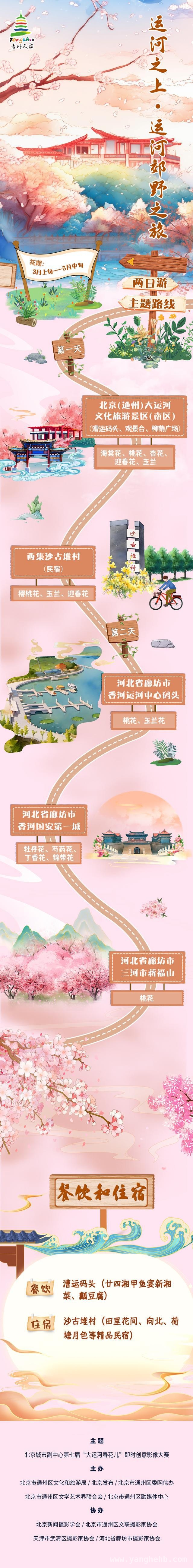 清明通州赏花，开启诗意春日之旅 通州四条特色赏花路线，解锁京津冀春日盛景