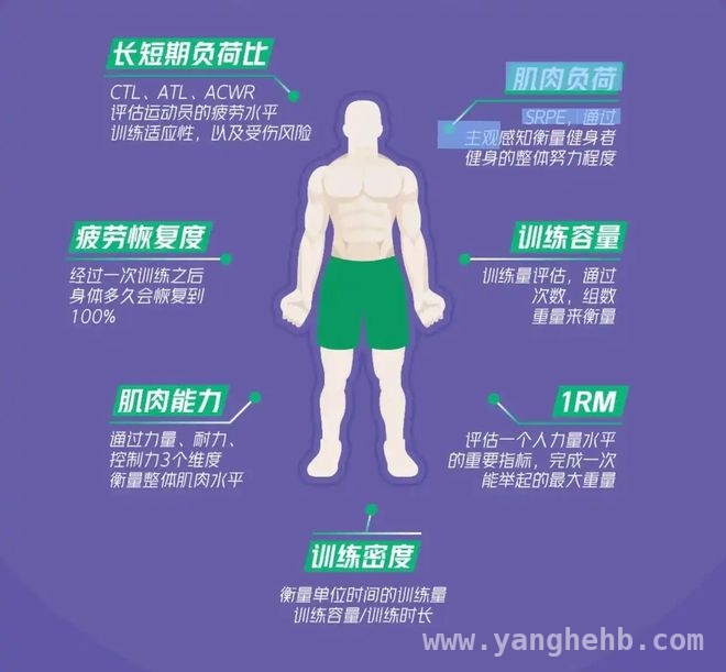 Keep业绩受挫，AI转型之路能否柳暗花明？，Keep营收下滑困境待解，AI成救命稻草？