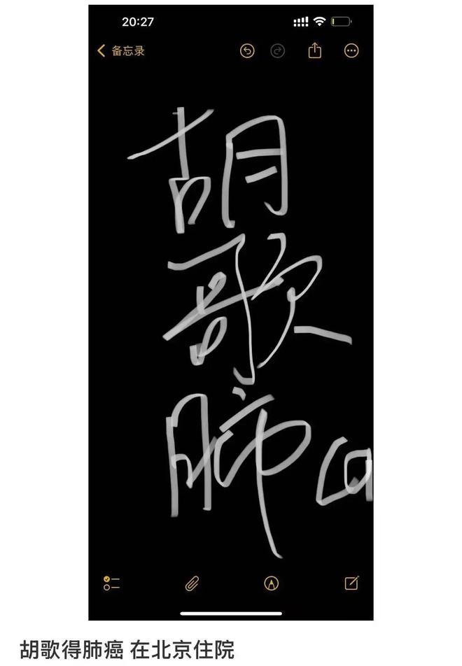 胡歌“二胎”冲上热搜，九华山游玩背后真相几何？