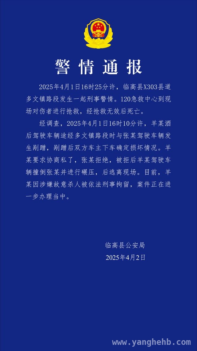 海南临高驾车碾压案：男子酒后冲动酿悲剧，临高驾车碾压案真相：酒后纠纷引发的血案