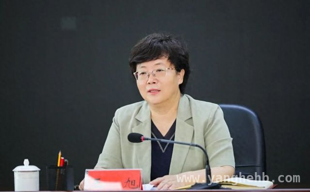 甘肃省政府人事变动：王旭加入党组引关注