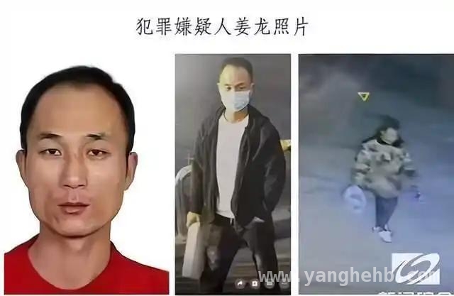悬赏嫌犯姜龙被抓，背后故事引人深思！，沈阳警方悬赏嫌犯姜龙被抓，真相渐明！