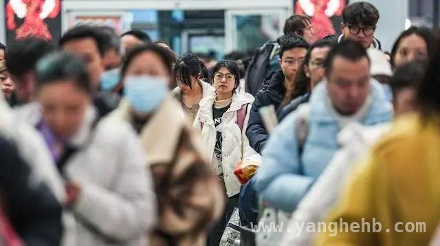 聚焦2024人口数据：强省会引领人口集聚新风向