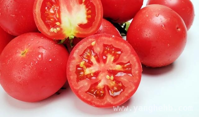 冰箱保鲜误区大揭秘：哪些蔬菜“怕冷”？
