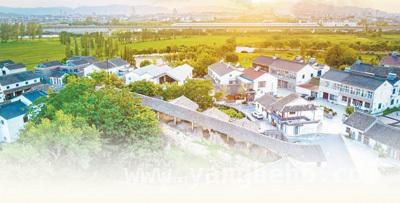 走进宜兴三洞桥村：领略百年龙窑魅力，感受古村蓬勃生机