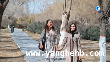 品尝高台面筋，东帝汶留学生爱上河西走廊美食，东帝汶女孩在张掖，被高台面筋“圈粉”！