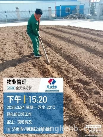 白蜡法桐扦插育苗，刁镇中小企业创业创新园绿化升级进行时，刁镇创业园绿化部精心扦插白蜡法桐，打造绿色园区