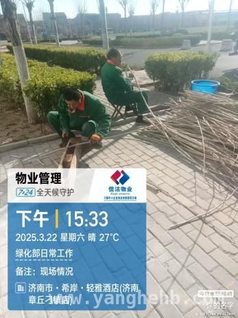 白蜡法桐扦插育苗，刁镇中小企业创业创新园绿化升级进行时，刁镇创业园绿化部精心扦插白蜡法桐，打造绿色园区