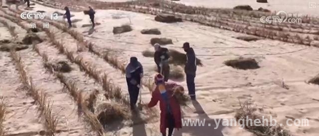 2025超长期特别国债支撑“两重”，各领域建设成果初显，特别国债推动“两重”建设，多领域发展按下加速键
