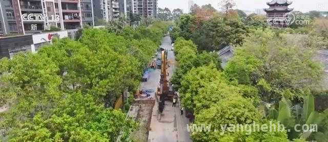 2025超长期特别国债支撑“两重”，各领域建设成果初显，特别国债推动“两重”建设，多领域发展按下加速键