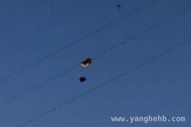 滑翔伞挂线致鱼死亡，法院如何判定各方责任？