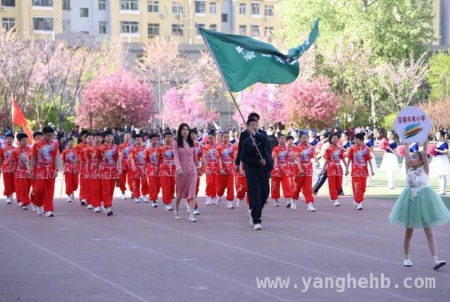 激情四月！石家庄桥西区中小学运动会盛大启幕，石家庄桥西区2025春季田径运动会：点燃青少年运动激情