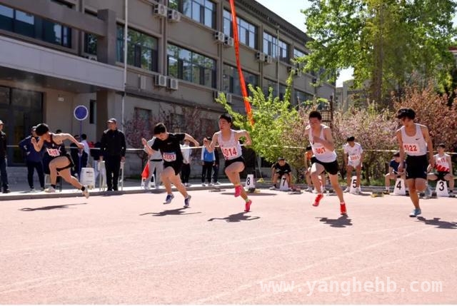 激情四月！石家庄桥西区中小学运动会盛大启幕，石家庄桥西区2025春季田径运动会：点燃青少年运动激情