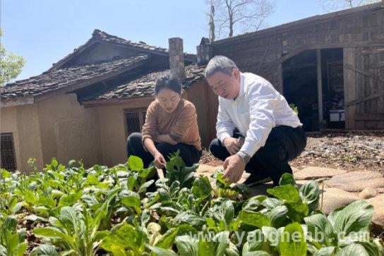 乡愁沈丹食品与省农科院质标所签约，共推乡村振兴 武夷山：“绿色优质农产品联合开发中心”开启农业新征程