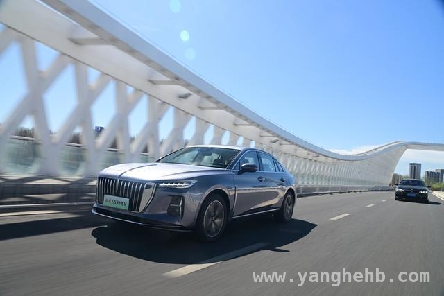 红旗金葵花绽放，2025首季开启豪华智能新征程