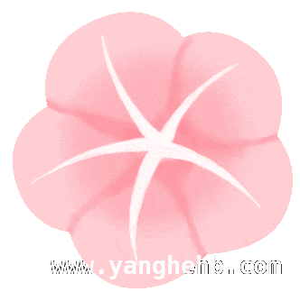 黄浦滨江樱花季，开启浪漫春日之约