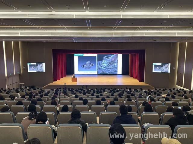 上博东馆推出系列讲座，首场聚焦“考古上海”展