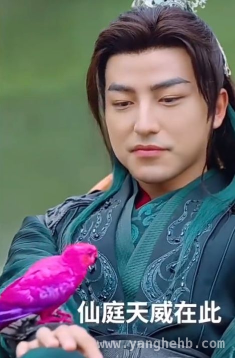 无上魔尊虐鸟风波引众怒，剧方回应遭质疑，短剧无上魔尊虐鸟事件：真相究竟几何？