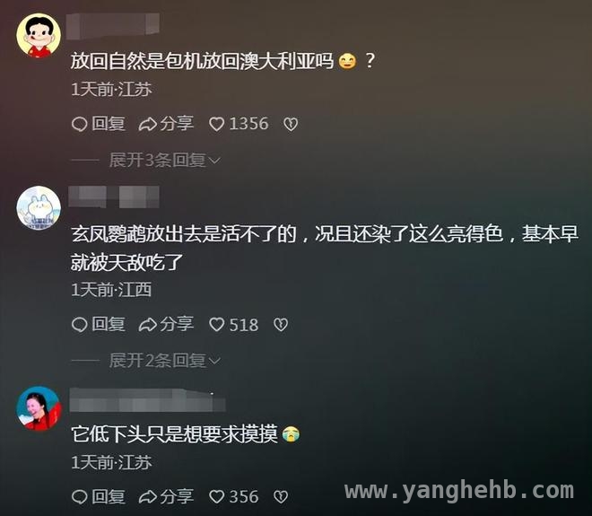 无上魔尊虐鸟风波引众怒，剧方回应遭质疑，短剧无上魔尊虐鸟事件：真相究竟几何？