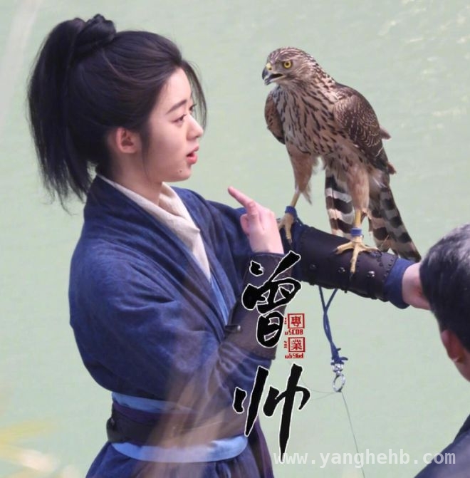 无上魔尊虐鸟风波引众怒，剧方回应遭质疑，短剧无上魔尊虐鸟事件：真相究竟几何？