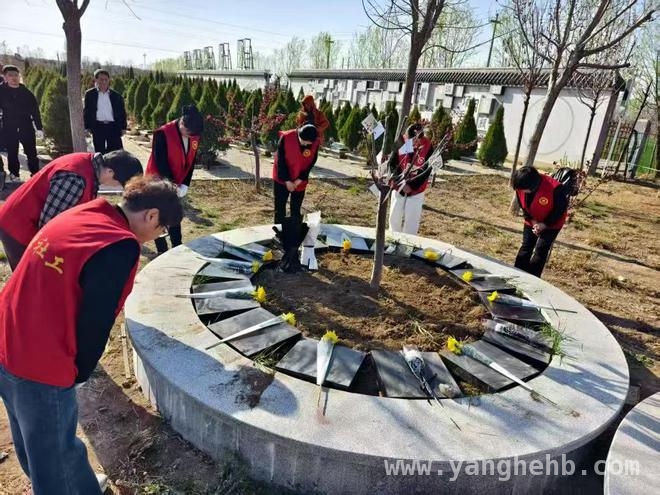 无棣县生态安葬活动：推动殡葬改革，倡导绿色文明 4月2日无棣：生态树葬开启绿色殡葬新篇章