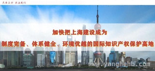 上海：知识产权保护多维度发力，成果丰硕，从全国会议看上海知识产权保护的积极作为与前景