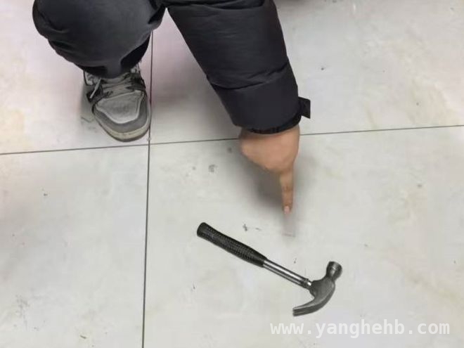 惊！一夜连砸14辆车，沈阳砸车盗窃嫌犯被警方抓获
